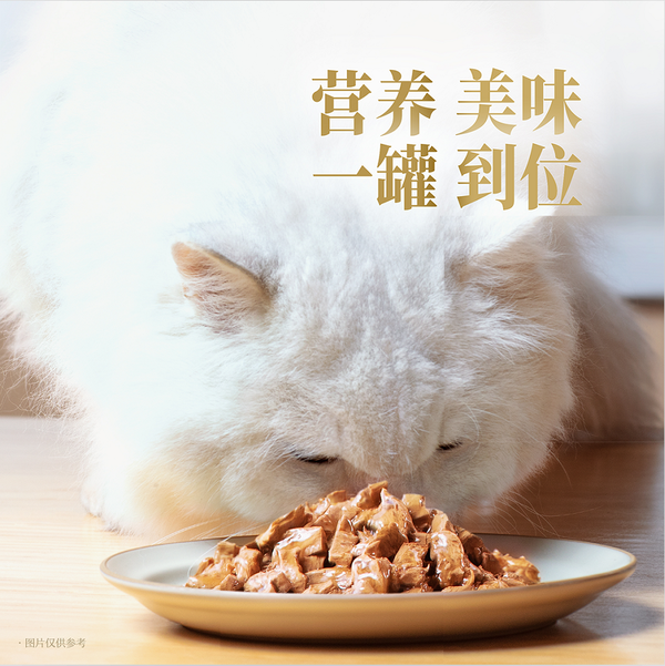 享誉全球的明星猫主食罐登陆中国，雀巢珍致重新定义猫湿主粮